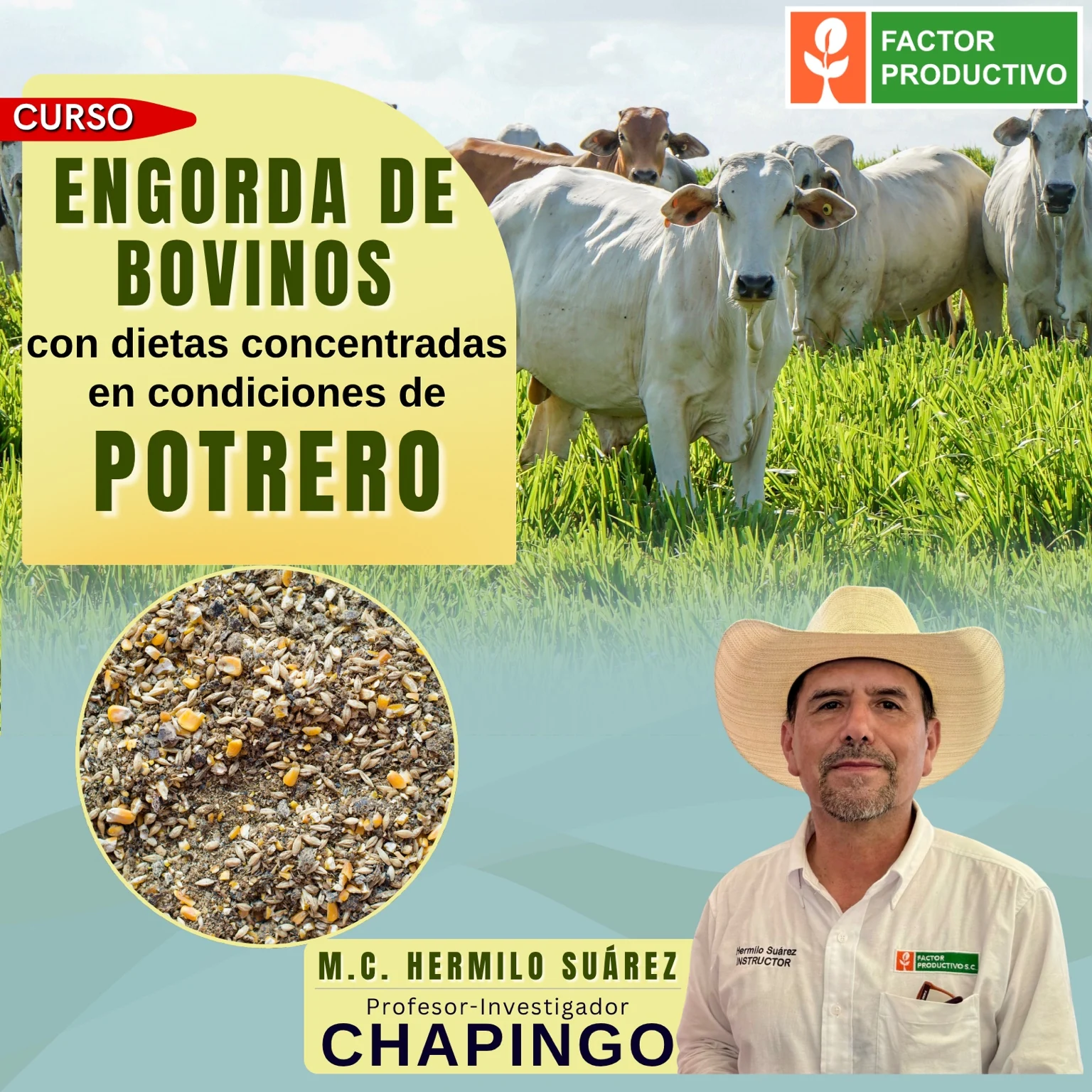 Flyer de Engorda de Bovinos con Dietas Concentradas en Condiciones de Potrero